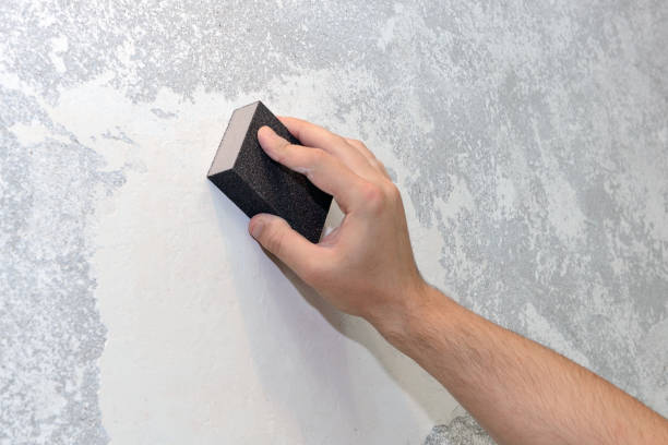Best Mold Prevention Services  in Reedsburg, WI