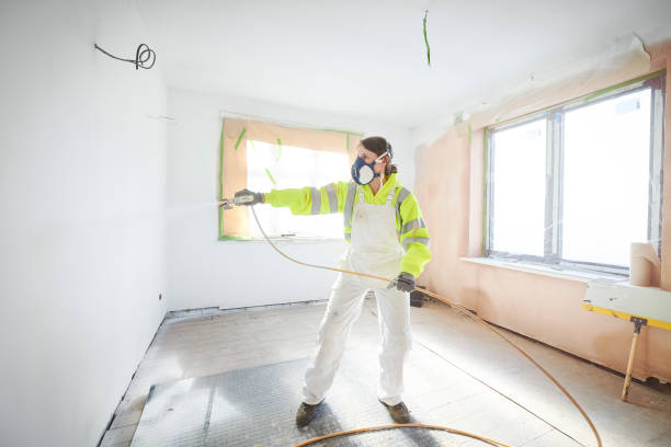 Best Black Mold Removal  in Reedsburg, WI