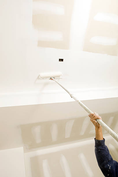 Best Real Estate Mold Inspection  in Reedsburg, WI