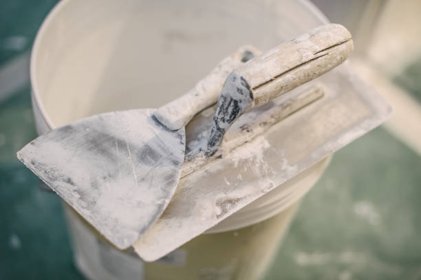 Best Emergency Mold Remediation  in Reedsburg, WI