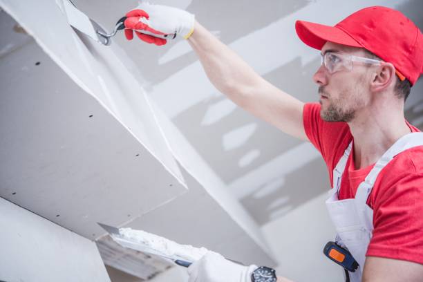 Best Asbestos and Lead Testing During Mold Inspection  in Reedsburg, WI