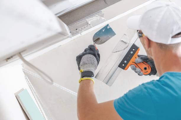 Best Mold Removal for HVAC Installations  in Reedsburg, WI